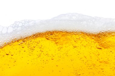 Köpüklü bir bardak bira.