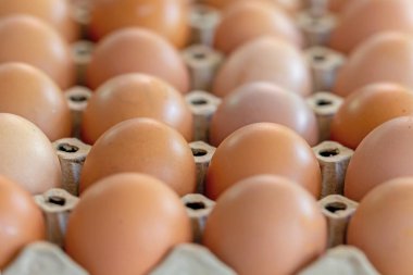 Tepside kahverengi ve beyaz yumurtalar