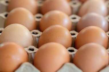 Kutuda taze tavuk yumurtası var.