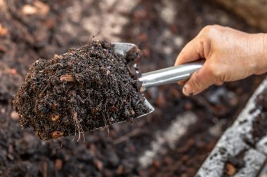 Adam mutfaktaki ahşap tencereye karabiber ekiyor..