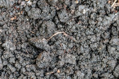 toprak dokusu, arkaplan, kapat