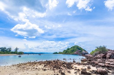 Güzel tropikal plaj ve mavi su arka planlı palmiye ağaçları