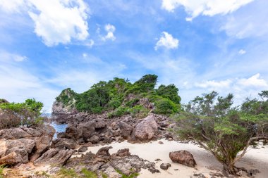 Koh larn 'daki güzel sahil, Pattaya, Tayland.