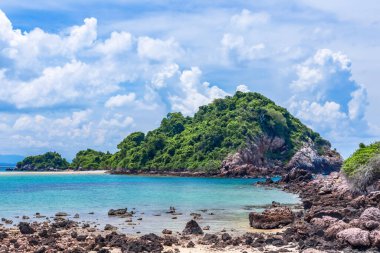 Güzel tropikal plaj ve Hindistan cevizi hurma ağacı Cennet Adası