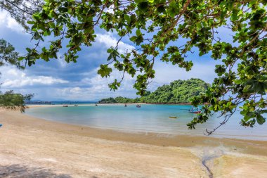 Palmiye ağaçları, turkuaz suyu, beyaz kum ve turkuaz denizi olan tropik cennet plajı.