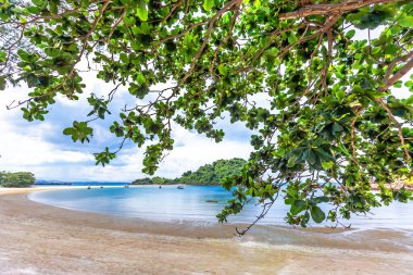 Koh Kood, Tayland 'daki tropik plaj.