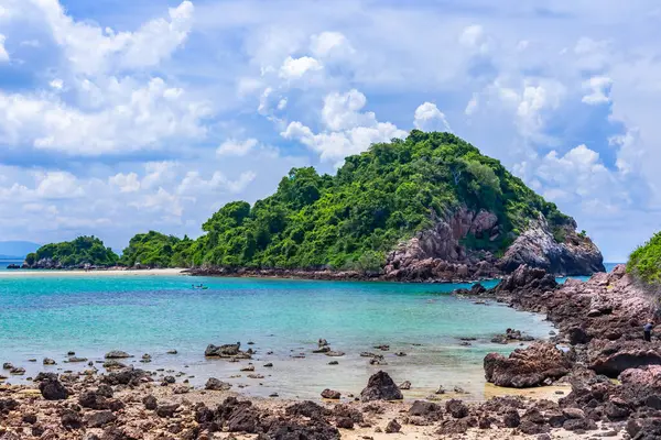 Tatil konsepti olarak deniz ve hindistan cevizi palmiyeli güzel tropikal plaj.