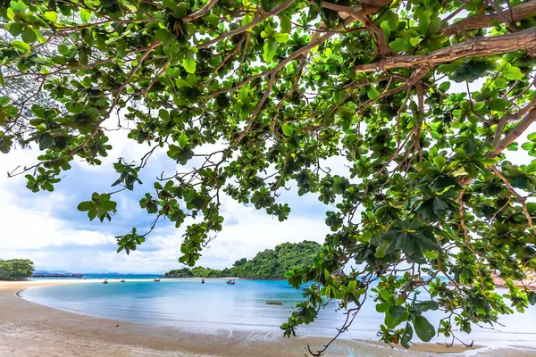 Seyahat ve tatil konsepti için hindistan cevizi palmiyesi ağaçları olan güzel tropik plaj ve deniz.