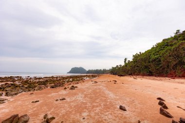 tropikal Beach güzel manzara