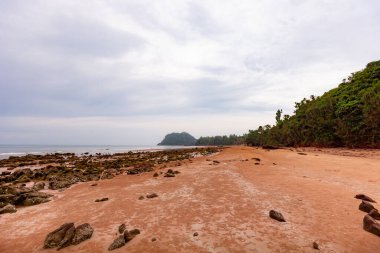 Tropikal adada güzel bir sahil. Tayland