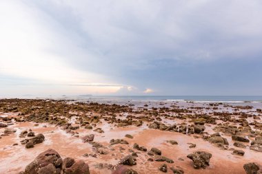 Güzel sahil ve tropikal deniz