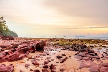 Gün batımında palmiye ağaçları olan güzel tropikal plaj