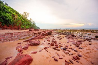Seyşel Adaları, tropik sahil.