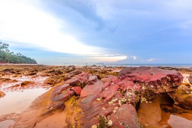 Koh Samu Tayland 'daki tropik plaj..