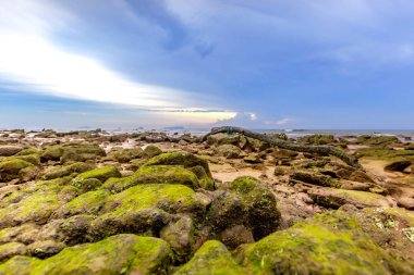 Deniz kıyısının güzel manzarası