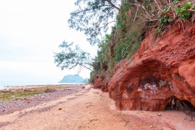 Vietnam, Long Bay 'deki sahil.