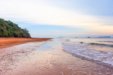 Hindistan cevizi hurma ağacı ile güzel tropikal plaj