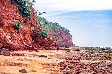 Koh Samui Tayland 'da güzel bir sahil.