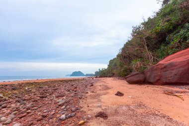 Deniz kıyısının güzel manzarası