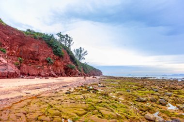 Güzel sahil ve tropikal deniz