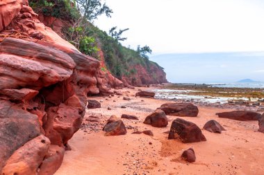 Kayalar tropik sahilde