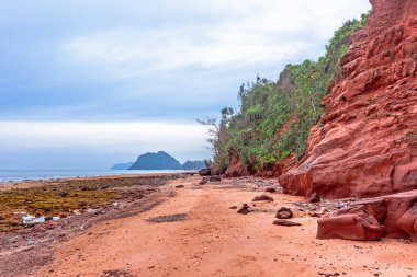 Tayland 'daki güzel tropik plaj. doğa arkaplanı