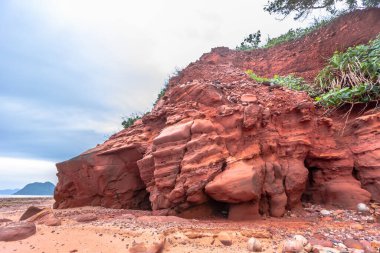 Okyanustaki kırmızı kaya