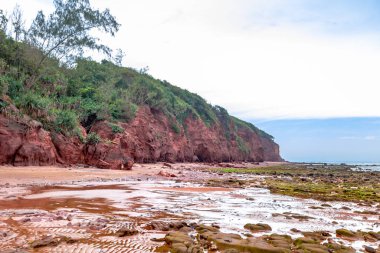 Deniz kıyısının güzel manzarası