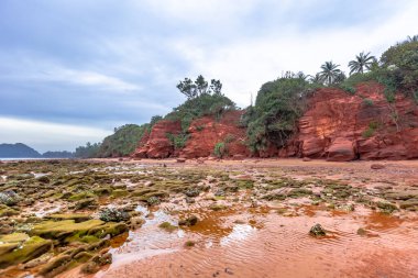 Güzel tropikal kumsalda deniz ve kum