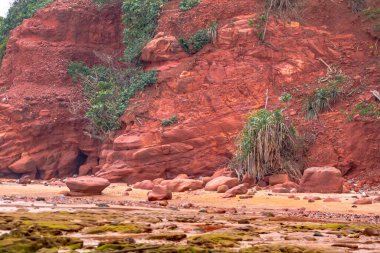 Doğanın güzel manzarası