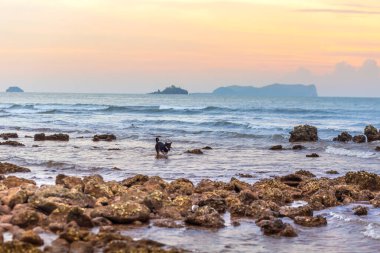Koh samui 'de güzel bir gün batımı