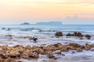 Sahilde gün batımı