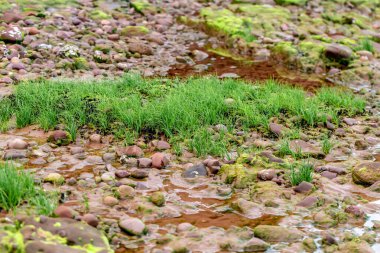 Doğanın güzel manzarası