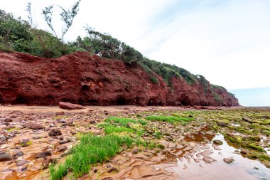 Atlantik Okyanusu kıyısında