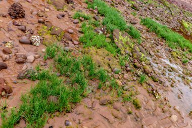 Dağlarda nehri olan güzel bir manzara.