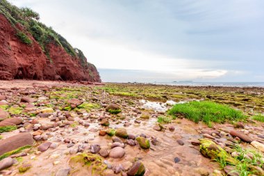 İsrail 'in kuzeyindeki güzel Baltık Denizi manzarası