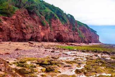 Deniz kıyısının güzel manzarası