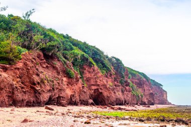 Deniz kıyısının güzel manzarası.