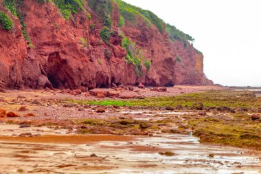 Deniz kıyısının güzel manzarası