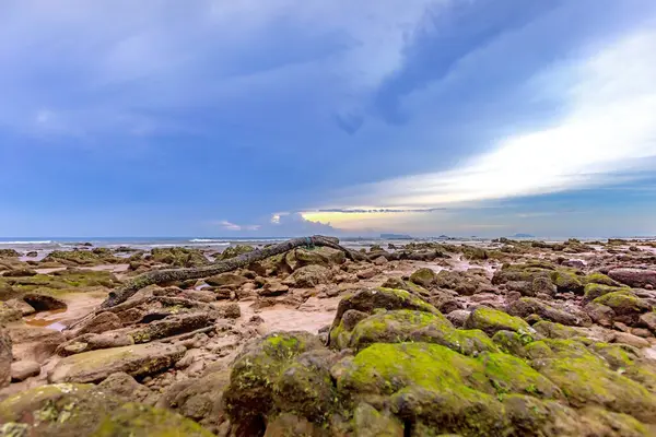 Deniz kıyısında güzel bir gün batımı. Doğa