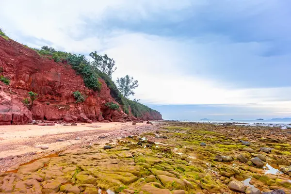 Güzel sahil ve tropikal deniz