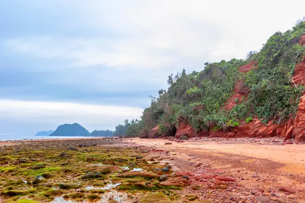 Deniz kıyısının güzel manzarası