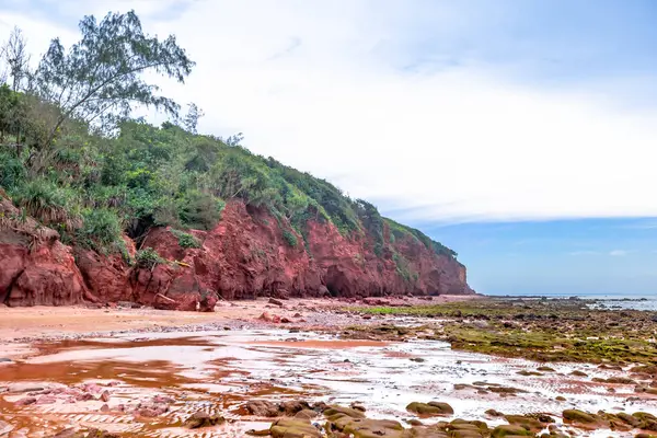 Okyanus kıyısında bir sürü kum var.