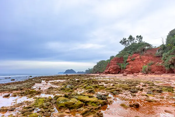 Denizi olan kızıl kaya plajı