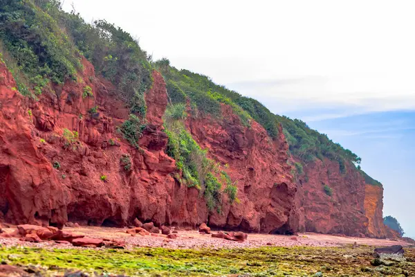 Akşamları yeşil çimenli kızıl kaya ve deniz