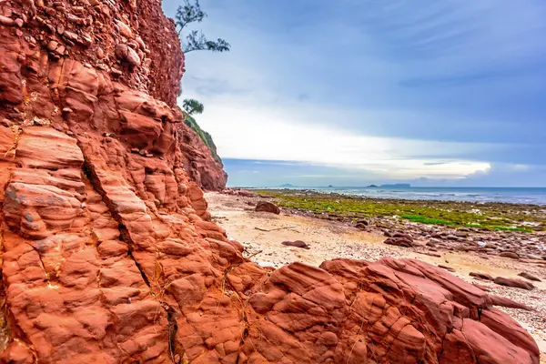 Denizin kıyısındaki kayalık plaj.