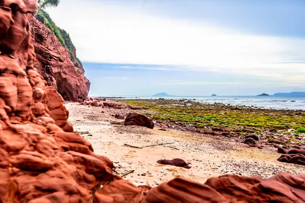 Kayaları, deniz dalgaları ve mavi gökyüzü olan güzel bir sahil.