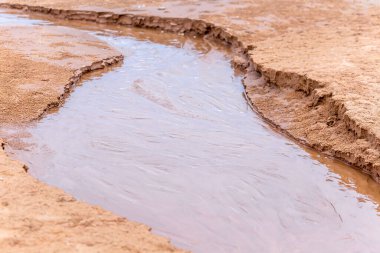 Nehrin sıcak pınarları, Yellowstone