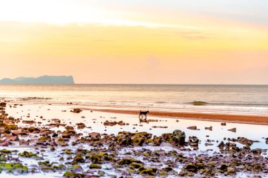 Tayland adasında güzel bir gün batımı