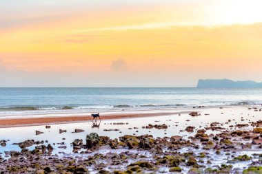 Akşamları kumsalda gün batımı